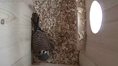235 x 132 MOM # 3