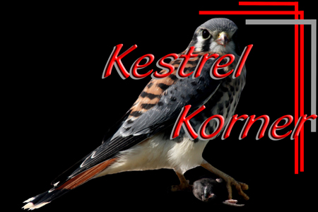 450 x 300 CR. KESTREL KORNER BLK BACK JPG