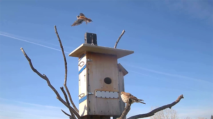 WEB 60 FK MK OUT Snapshot JPG