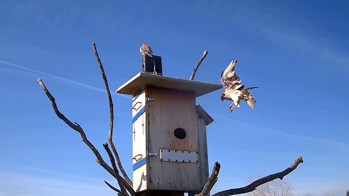 WEB 63 FK OUT Snapshot JPG