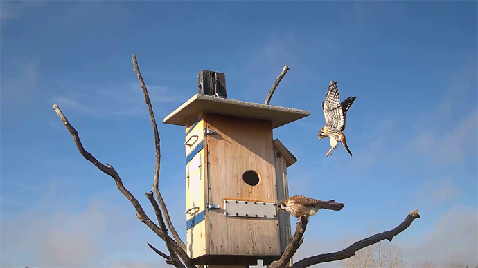 WEB ADJ 60 FK & MK OUT Snapshot JPG