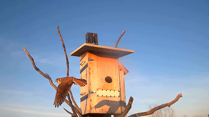 WEB ADJ 60 FK OUT Snapshot JPG