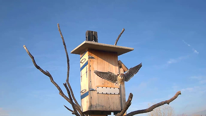 WEB ADJ 60 MK OUT Snapshot JPG