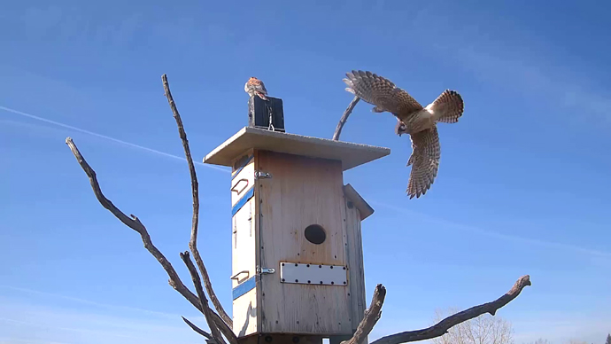 WEB ADJ 62 FK OUT Snapshot JPG