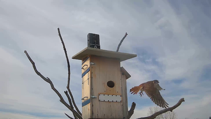 WEB ADJ 96 OUT FK Snapshot JPG