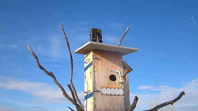 WEB ADJ A OUT MK Snapshot JPG