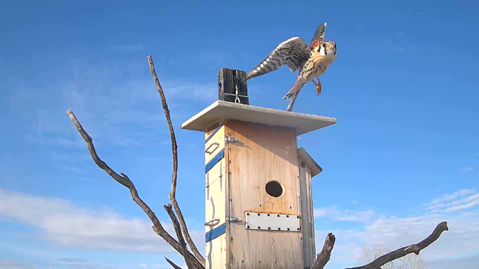 WEB ADJ B OUT MK Snapshot JPG