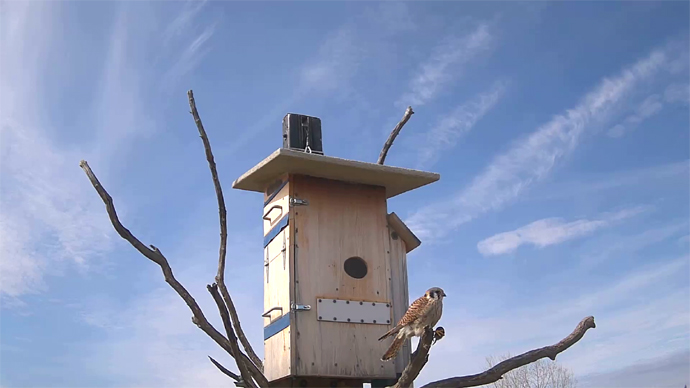 WEB ADJ FK VOLE 00 Snapshot JPG