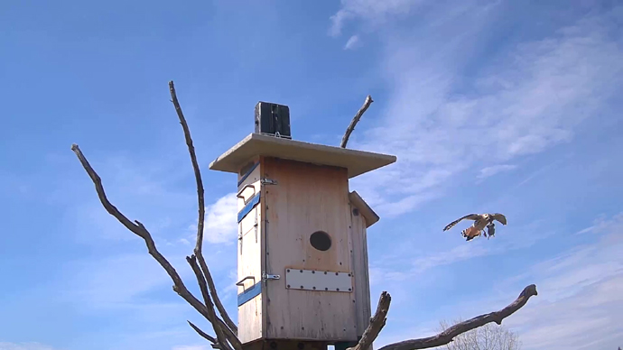 WEB ADJ MK VOLE 00 Snapshot JPG