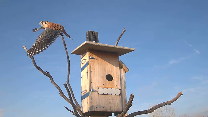 WEB MK 111 62 MK OUT Snapshot JPG