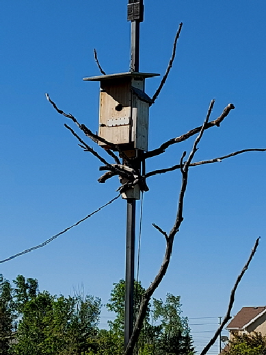 20240625_091158
