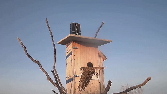 WEB ADJ 12 OUT FK Snapshot JPG