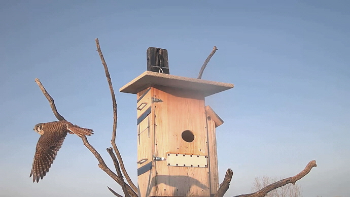 WEB ADJ 13 OUT FK Snapshot JPG