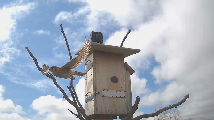 WEB ADJ FK OUT 87 Snapshot JPG